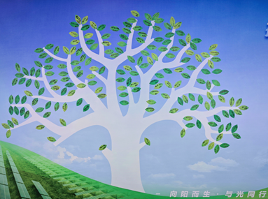 1711587462140999.png 1711587462140999.png